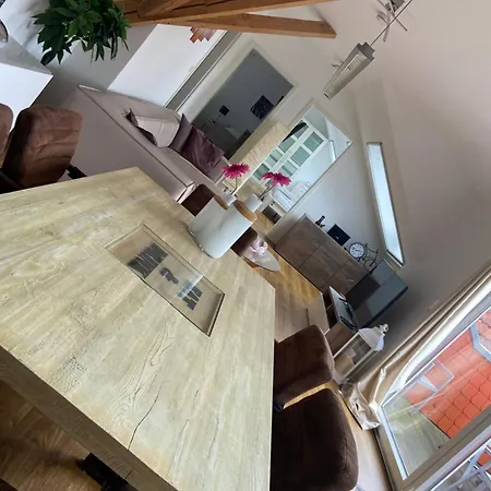 4 Sterne Dtv & 2 Pfoedchen Dtv 