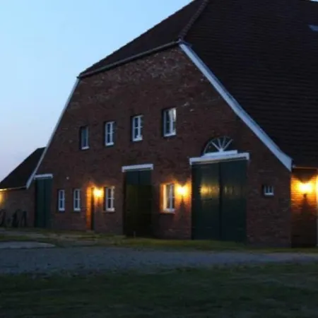 4 Sterne Dtv & 2 Pfoedchen Dtv 