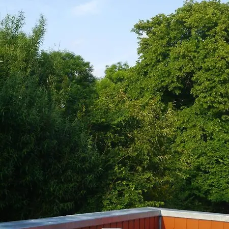 4 Sterne Dtv & 2 Pfoedchen Dtv 