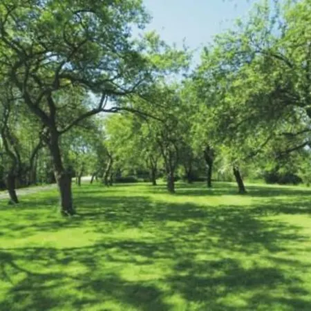 4 Sterne Dtv & 2 Pfoedchen Dtv 