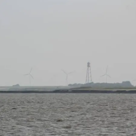 4 Sterne Dtv & 2 Pfoedchen Dtv 