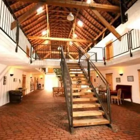 4 Sterne Dtv & 2 Pfoedchen Dtv 