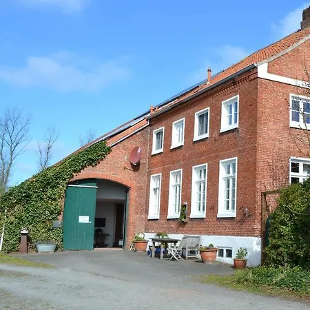 4 Sterne Dtv & 2 Pfoedchen Dtv 