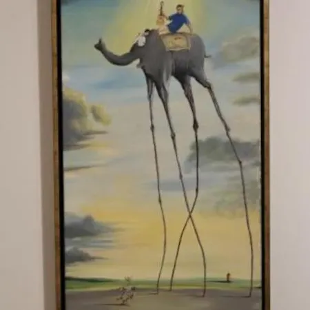 4 Sterne Dtv & 2 Pfoedchen Dtv 