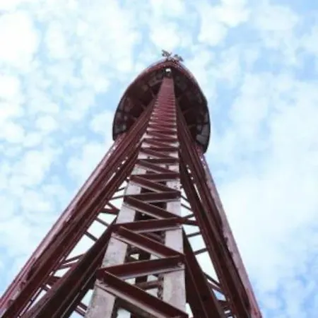 4 Sterne Dtv & 2 Pfoedchen Dtv 