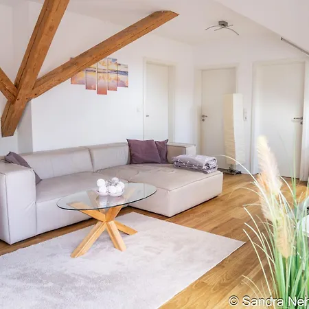 4 Sterne Dtv & 2 Pfoedchen Dtv 