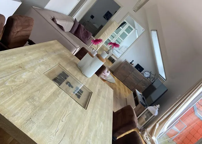 4 Sterne Dtv & 2 Pfoedchen Dtv 