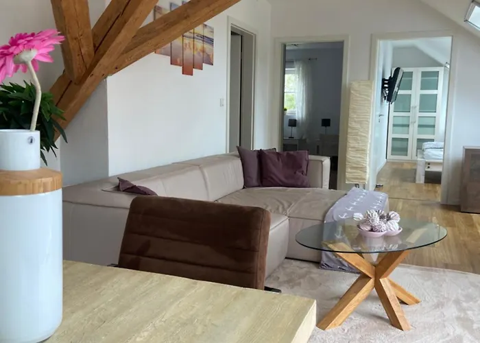 4 Sterne Dtv & 2 Pfoedchen Dtv 