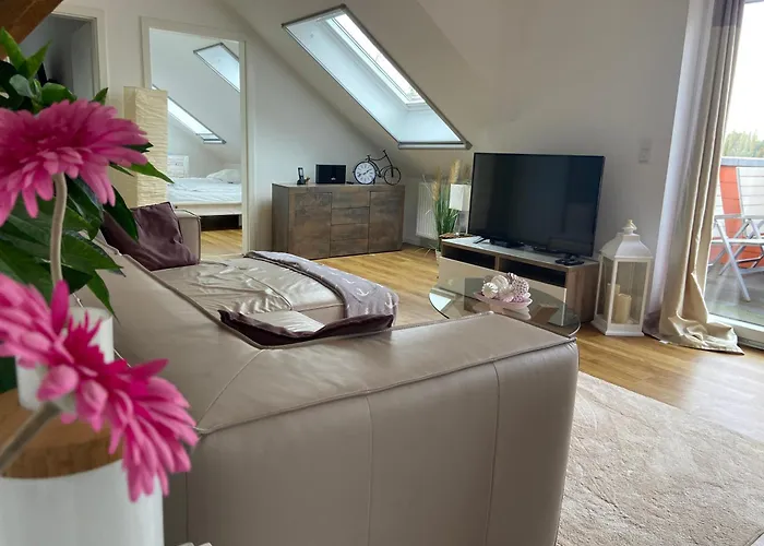 4 Sterne Dtv & 2 Pfoedchen Dtv 