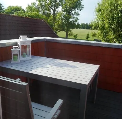 4 Sterne Dtv & 2 Pfoedchen Dtv 