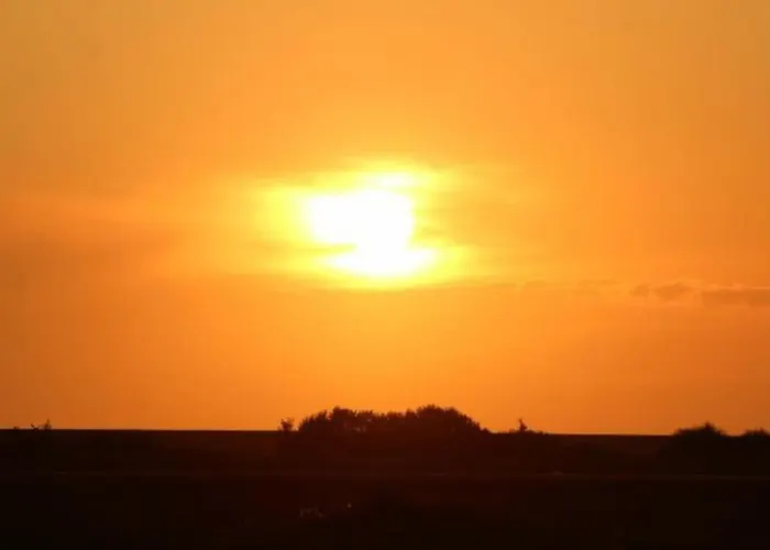 4 Sterne Dtv & 2 Pfoedchen Dtv 