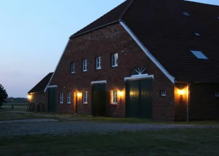 4 Sterne Dtv & 2 Pfoedchen Dtv 