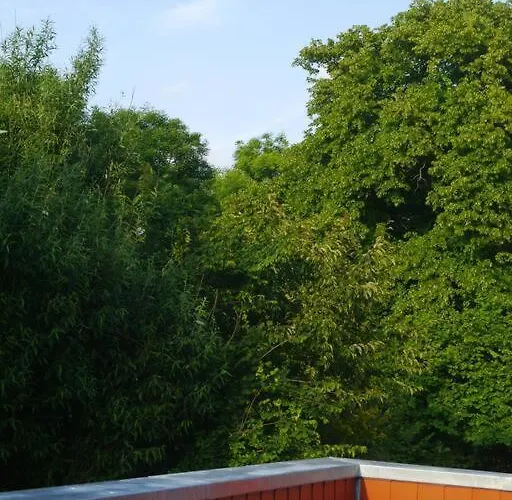 4 Sterne Dtv & 2 Pfoedchen Dtv 