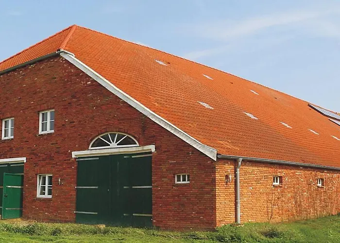 4 Sterne Dtv & 2 Pfoedchen Dtv 