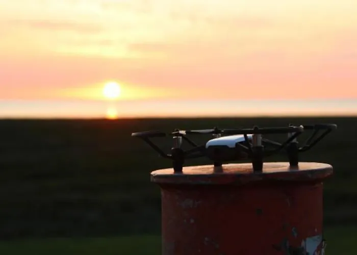 4 Sterne Dtv & 2 Pfoedchen Dtv 