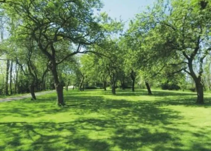 4 Sterne Dtv & 2 Pfoedchen Dtv 