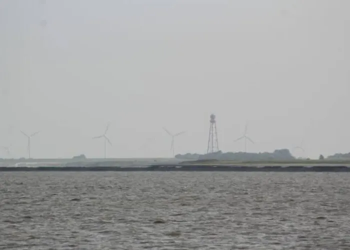 4 Sterne Dtv & 2 Pfoedchen Dtv 