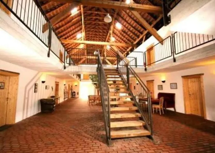 4 Sterne Dtv & 2 Pfoedchen Dtv 