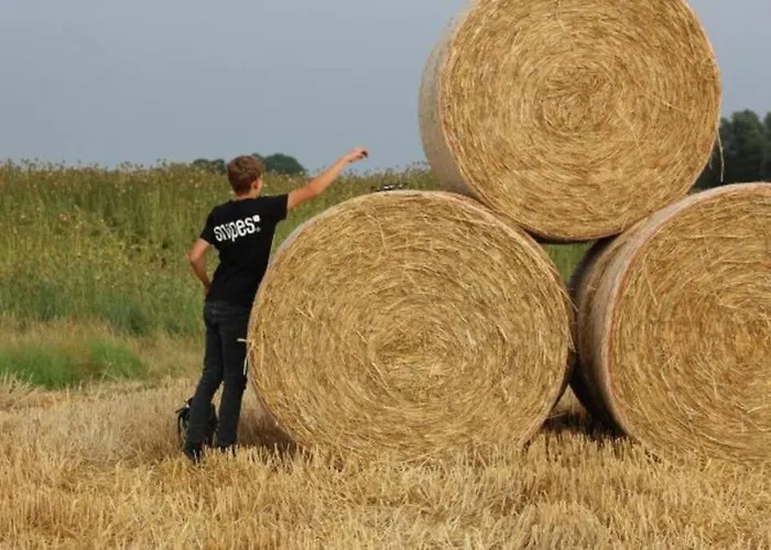 Apartamento 4 Sterne Dtv & 2 Pfoedchen Dtv 