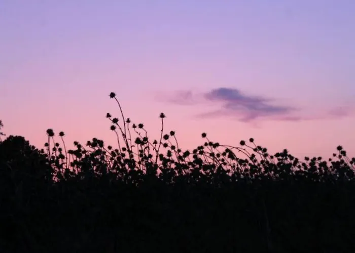 Apartamento 4 Sterne Dtv & 2 Pfoedchen Dtv 