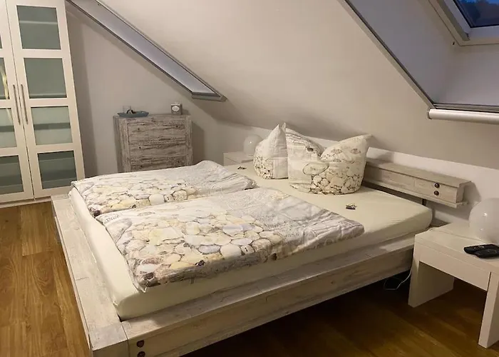 4 Sterne Dtv & 2 Pfoedchen Dtv 