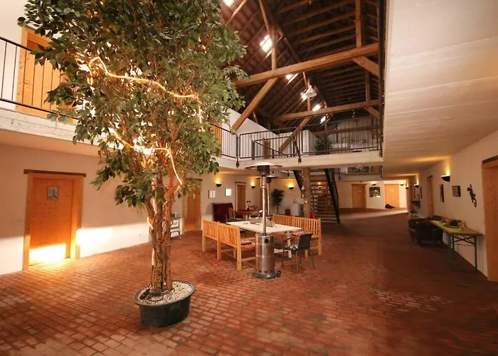 4 Sterne Dtv & 2 Pfoedchen Dtv 