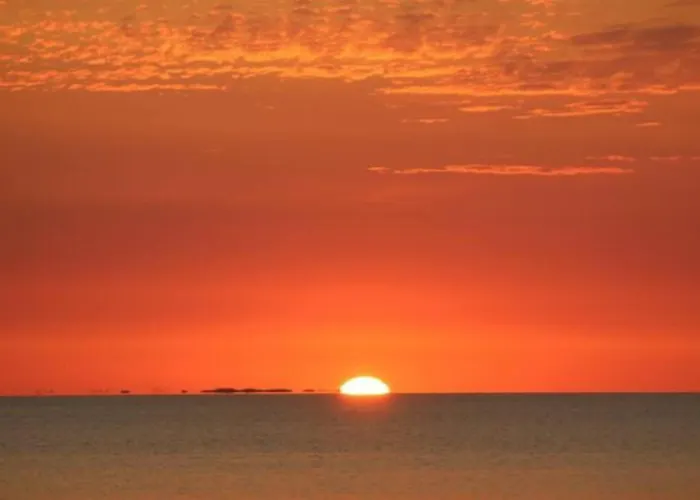 4 Sterne Dtv & 2 Pfoedchen Dtv 