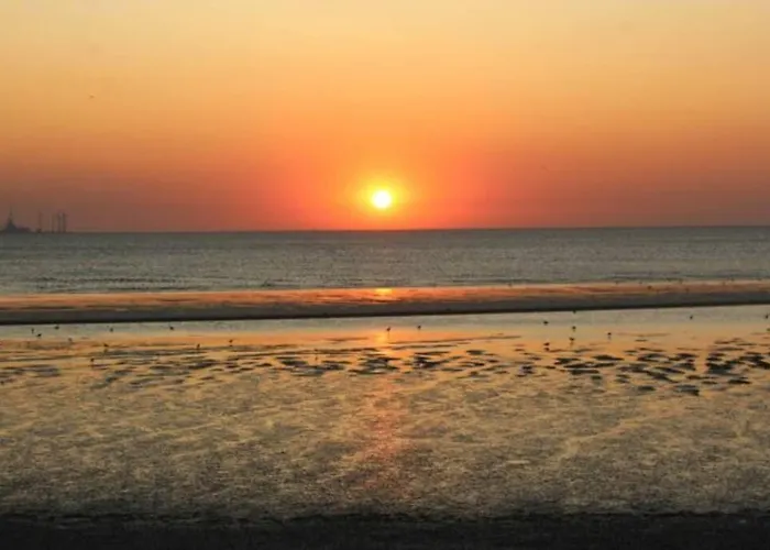 4 Sterne Dtv & 2 Pfoedchen Dtv 