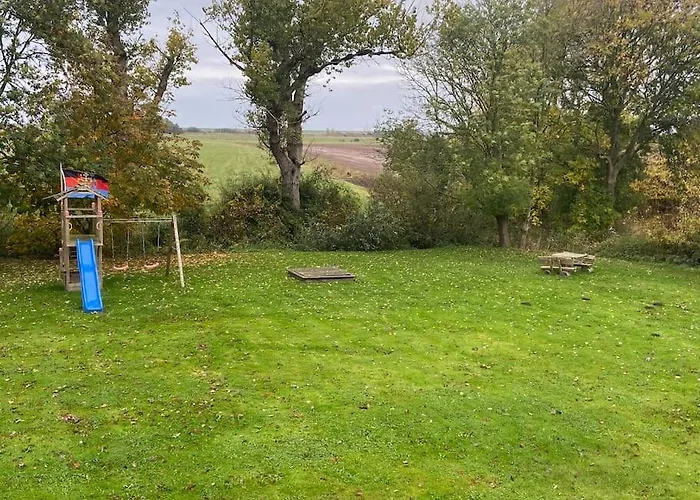 4 Sterne Dtv & 2 Pfoedchen Dtv 