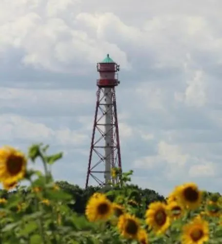 4 Sterne Dtv & 2 Pfoedchen Dtv 